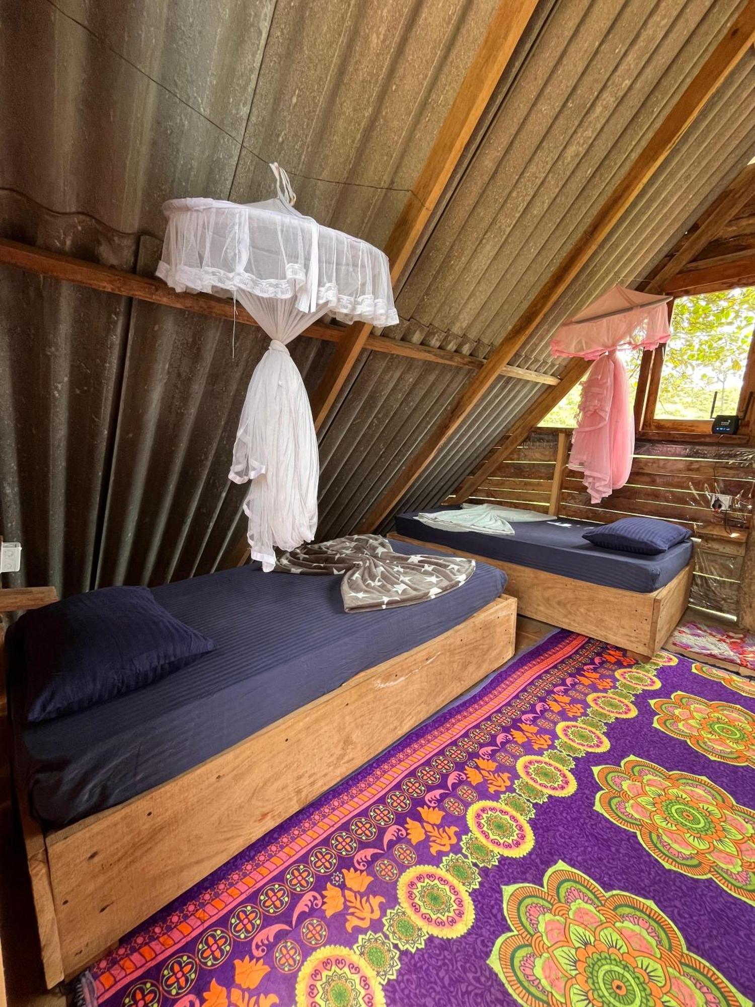 Backpackers Hostel Ella Εξωτερικό φωτογραφία